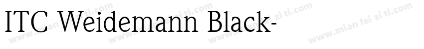ITC Weidemann Black字体转换